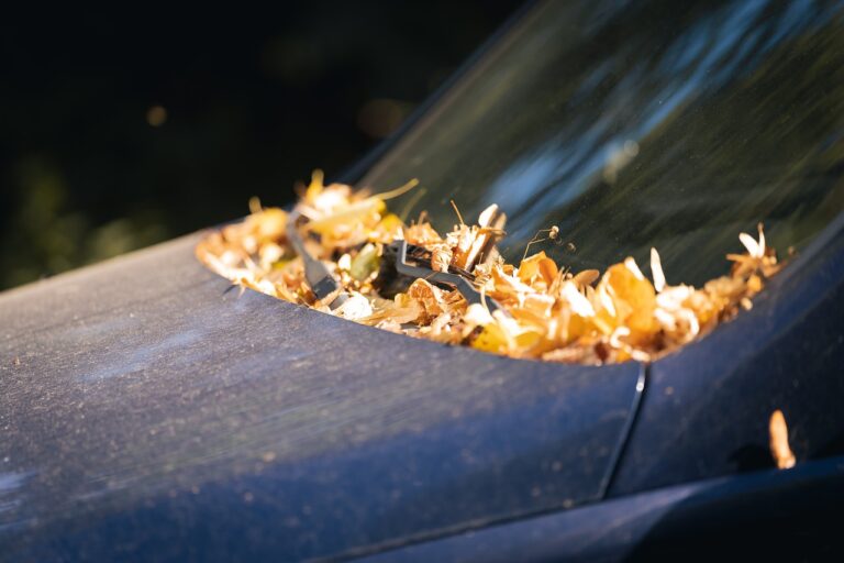 The Evolution of Car Exhaust Systems: From Catalytic Converters to Electric Motors