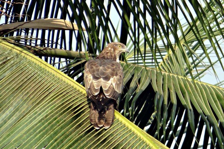 Voter Engagement in Non-Presidential Elections