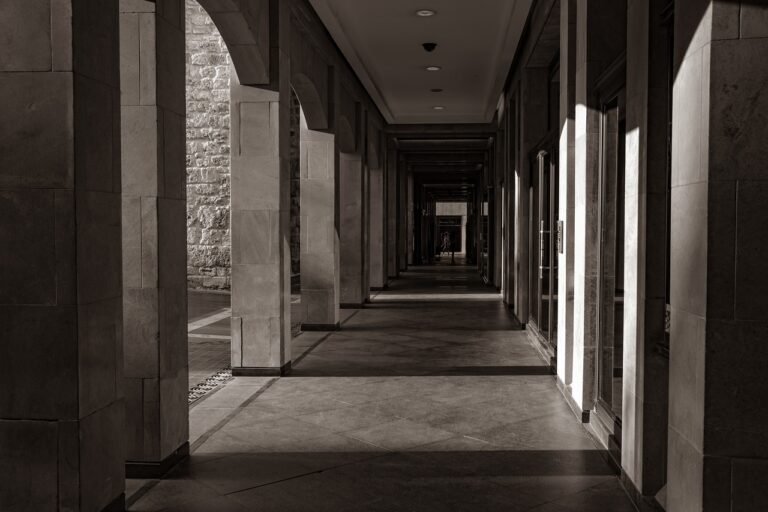 The Impact of Social Media Challenges on Shopping Behavior